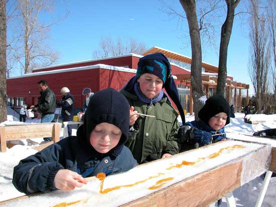 加拿大魁北克开启春季甜蜜蜜之旅