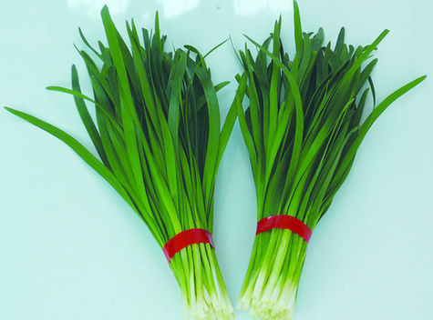 2013031509475774704.jpg