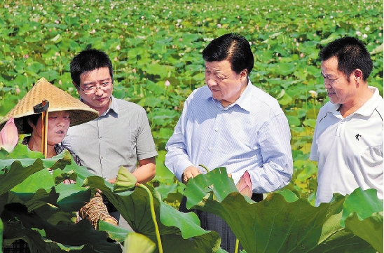 7月11日，刘云山在龙游县天池村田头与种莲农民交谈。