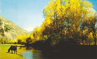 非法挖砂 填河造地 甘肃岷县市民追问——清清洮河水 啥时能回来_党建