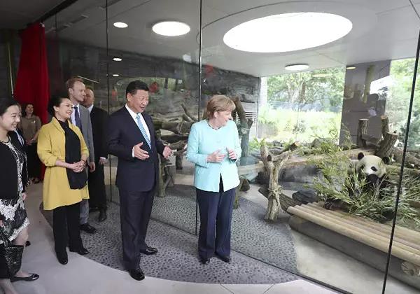 7月5日，国家主席习近平同德国总理默克尔共同出席柏林动物园大熊猫馆开馆仪式。这是习近平和夫人彭丽媛同默克尔在大熊猫馆。 新华社记者马占成 摄