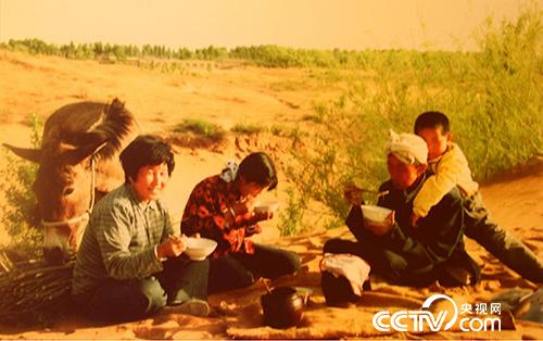 上世纪80年代，牛玉琴一家在沙漠里种树，风餐露宿已成习惯。（记者王甲铸翻拍自牛玉琴治沙博物馆）