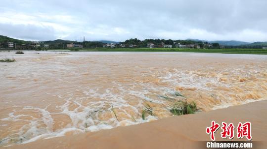 湖南安仁县普降暴雨 致部分农房垮塌中小学停课