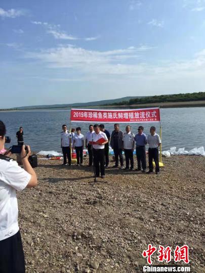 中国北疆首次在黑龙江上游放流12万尾“施氏鲟”