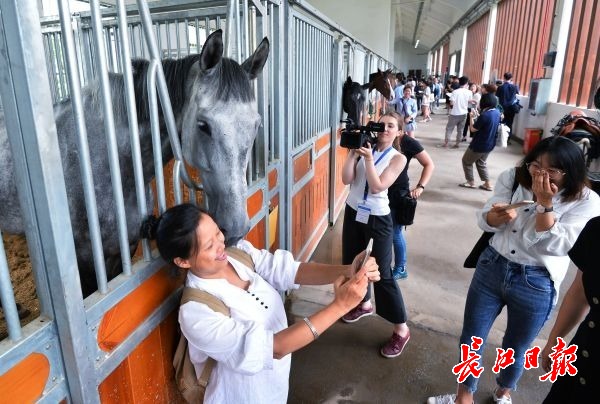 12日，媒体记者在武汉商学院参观军运会马术障碍赛的赛马 长江日报记者喻志勇 摄