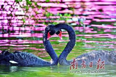 七夕广东＂领证热＂：＂从此人生又多了一本国家级证书＂