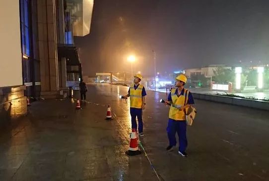 这是一群连台风也吹不走的青年