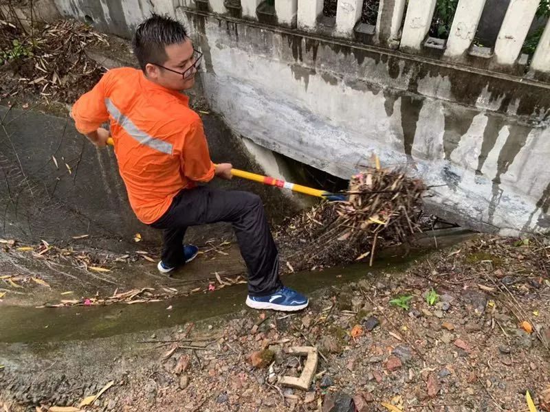 这是一群连台风也吹不走的青年
