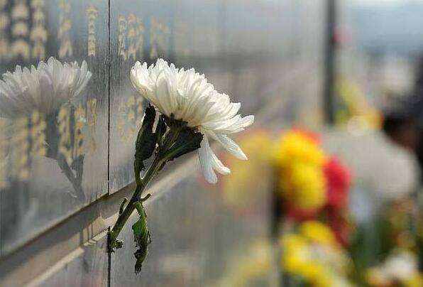 据民政部网站消息,民政部办公厅14日印发《关于做好2020年清明节祭扫