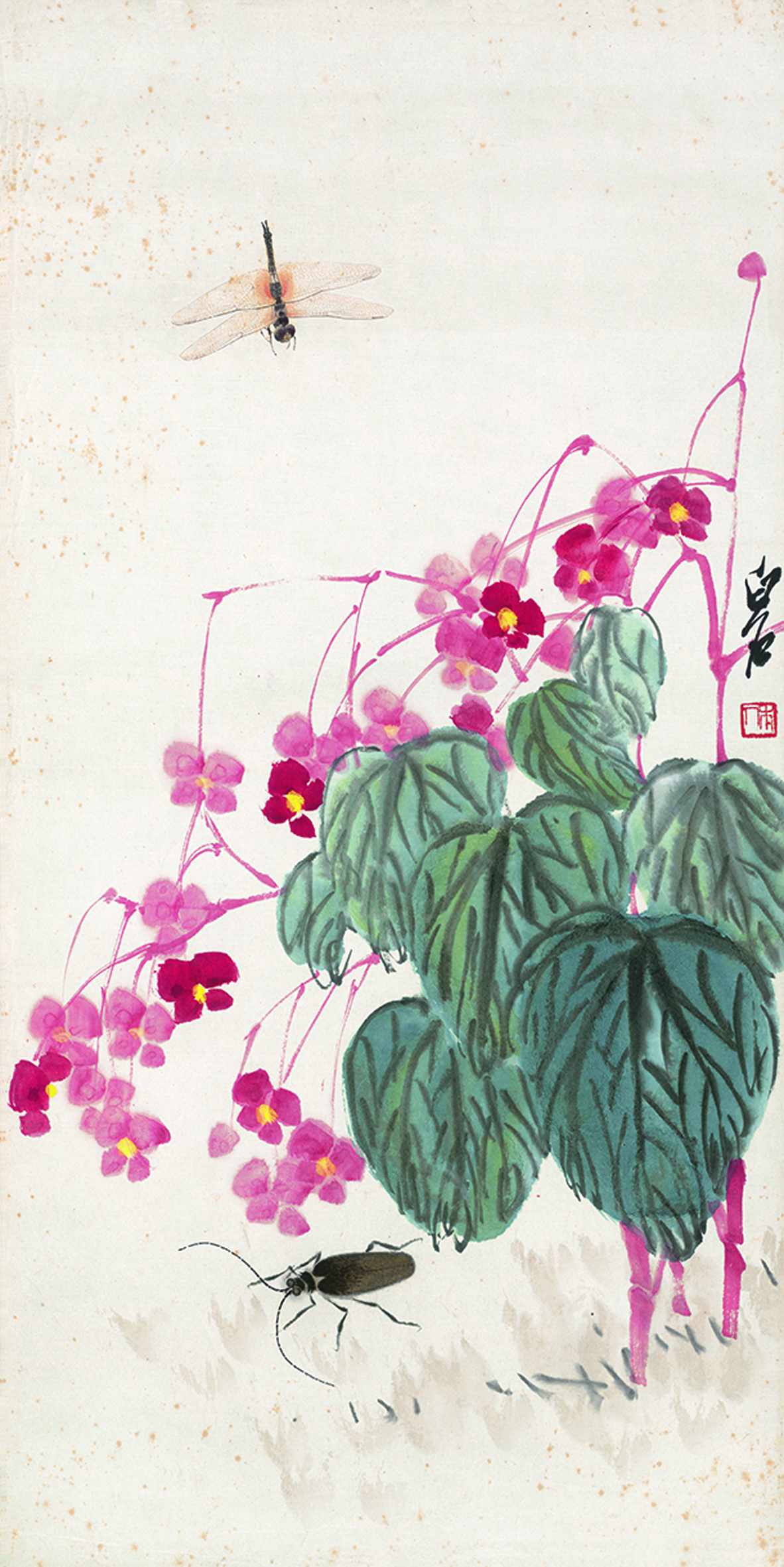 草虫秋海棠 （国画） 68×33.5厘米 无年款 齐白石 北京画院藏