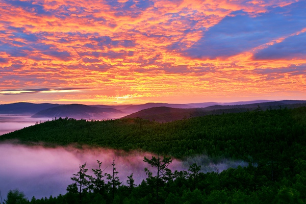 "十三五"全国森林旅游发展十件大事