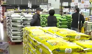 民众“菜篮子”负担加重 近期韩国大米加工食品价格显著上涨