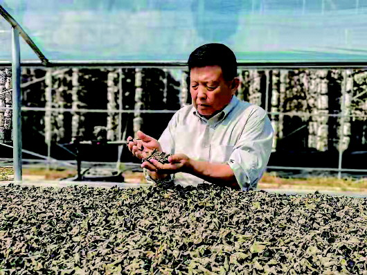 木耳院士 李玉 小木耳大产业 的 助产 人 民声频道 央视网 Cctv Com