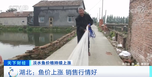 淡水鱼排行_最大的淡水鱼最大的淡水鱼有多大