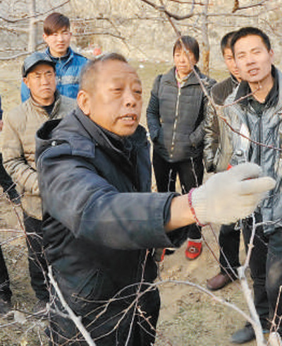 李保国（前左）在向村民讲解果树修剪知识。新华社记者 朱旭东摄