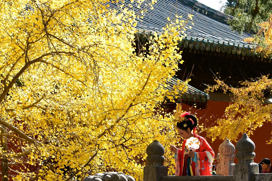 Traditional Han Clothing A Major Hit Among Generation Z 英语频道 央视网 Cctv Com