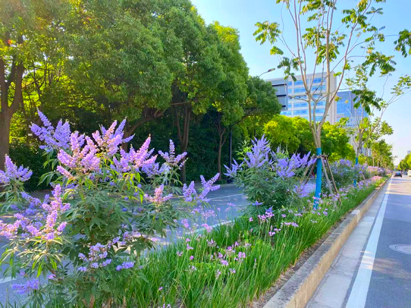 百景庆百年175个主题景点亮相申城 上海频道 央视网