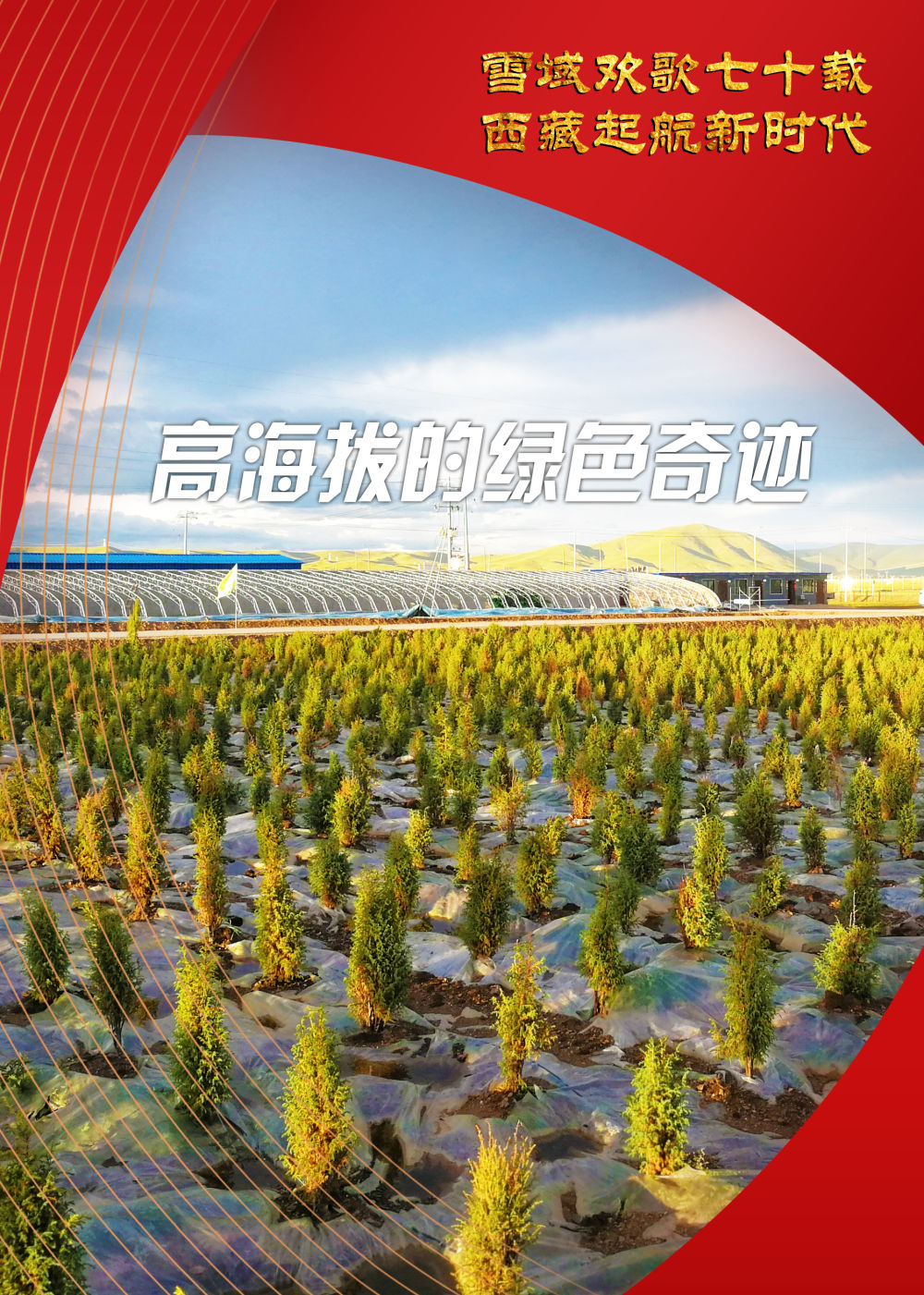 雪域欢歌70载 西藏启航新时代 曾经 没有一棵树的城市 如今有了一片 科技林 新闻频道 央视网 Cctv Com