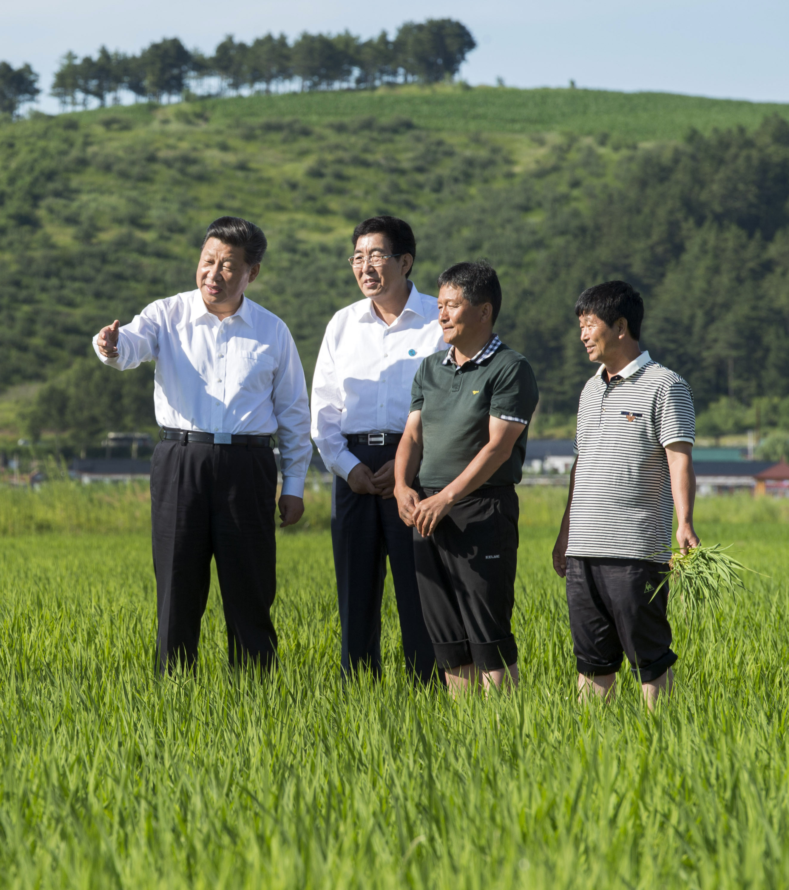 2015年7月16日，习近平总书记在吉林省延边州和龙市东城镇光东村视察水稻长势。