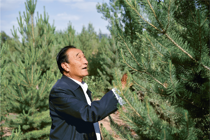 七一勋章获得者治沙英雄石光银