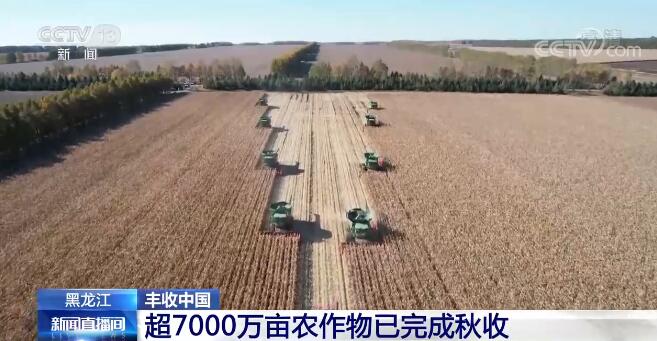 丰收中国 | 黑龙江超7000万亩农作物已完成秋收