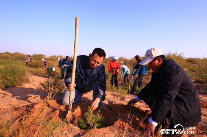 2019年，张应龙（左）在沙地同当地农民一起种树。