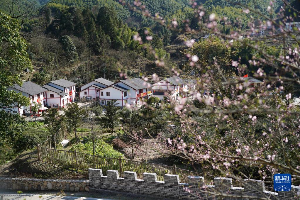 这是江西省井冈山市神山村景色（2021年2月19日摄）。新华社记者 周密 摄
