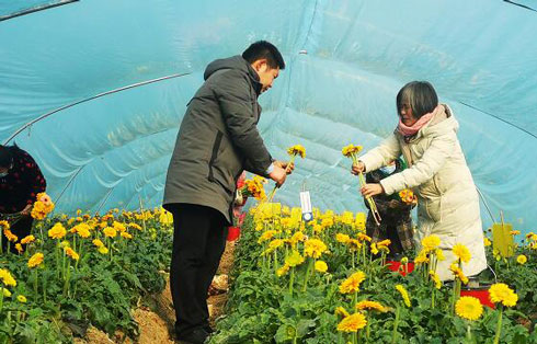 颜崇邦 谢宜军 摄影