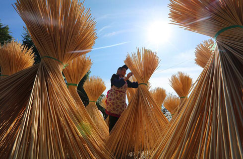 2018年10月31日，在贵州省赤水市一家竹丝加工厂，一名工人在晾晒竹丝。王长育 摄影