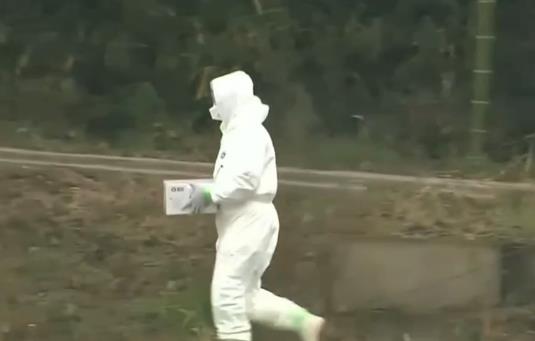 340只鸭子将被扑杀 日本千叶县养鸭场出现禽流感疫情