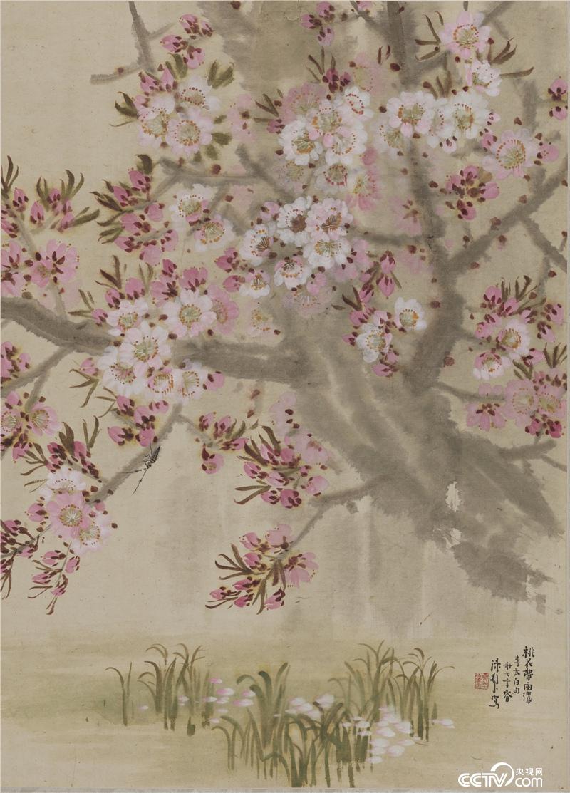 桃花带雨浓  陈树人 1948年 82.9×59.7cm  纸本设色  