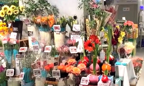 云南：鲜花“上网” 居家买花逐渐兴起