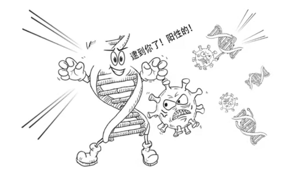 标本转运箱怎么消毒一份核酸检测报告是怎样诞生的？_https://www.jmylbn.com_新闻资讯_第10张