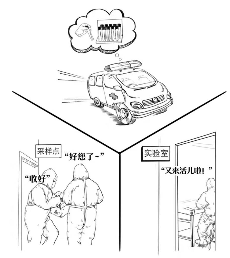 标本转运箱怎么消毒一份核酸检测报告是怎样诞生的？_https://www.jmylbn.com_新闻资讯_第2张