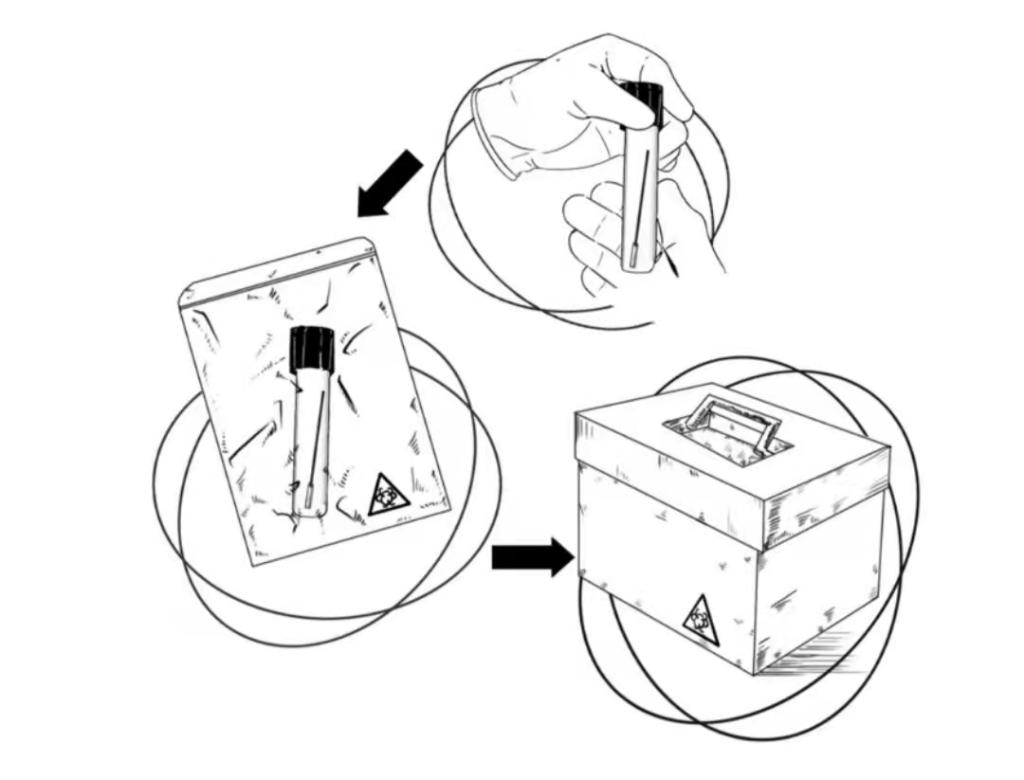 标本转运箱怎么消毒一份核酸检测报告是怎样诞生的？_https://www.jmylbn.com_新闻资讯_第3张