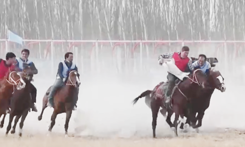 新疆和田：叼羊大赛演绎马背上的“速度与激情”