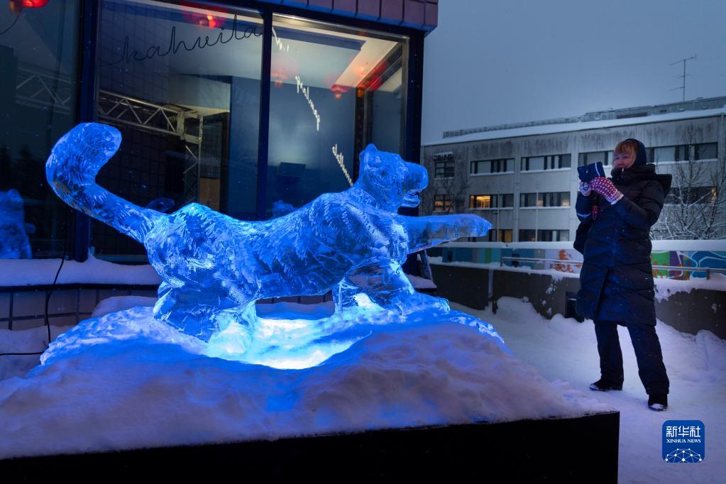 1月31日，芬兰赫尔辛基市民为冰雕“老虎”拍照。新华社发（马蒂·马蒂凯宁摄）