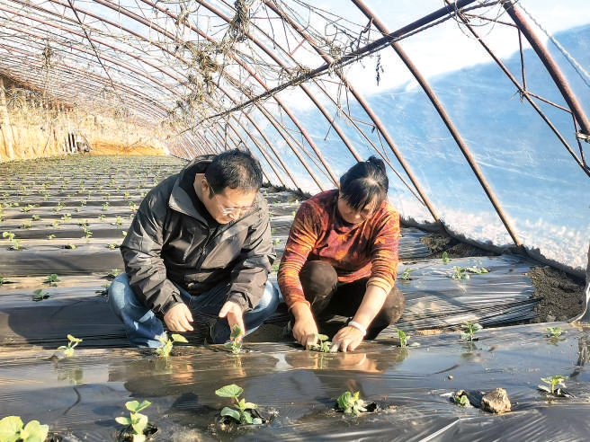 马学锋（左） 男，回族，50岁，中共党员，宁夏回族自治区吴忠市农业农村局种植业科科长、一级主任科员。