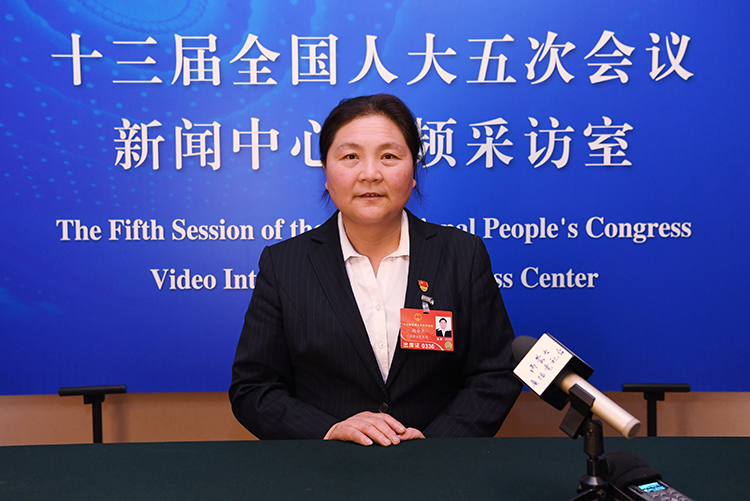 内蒙古自治区赤峰市松山区大庙镇小庙子村党支部书记赵会杰在接受记者