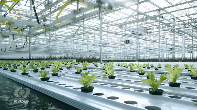 焦点访谈: “大食物观”让百姓餐桌更丰富_新闻频道_央视网(cctv.com)