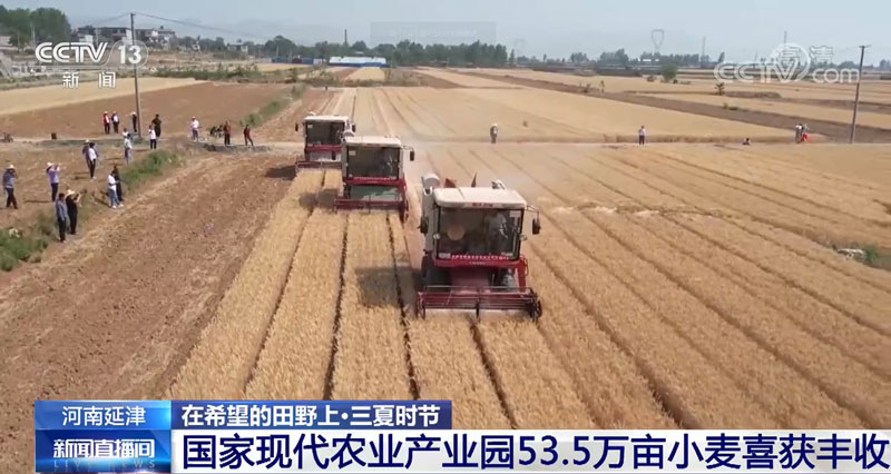 【在希望的田野上·三夏时节】国家现代农业产业园53.5万亩小麦喜获丰收