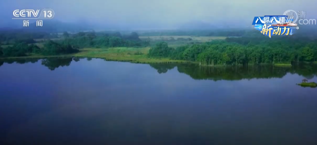 云间湿地——大九湖