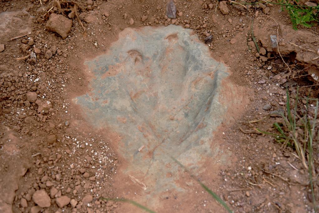 位于河北省张家口市宣化区的恐龙足迹化石