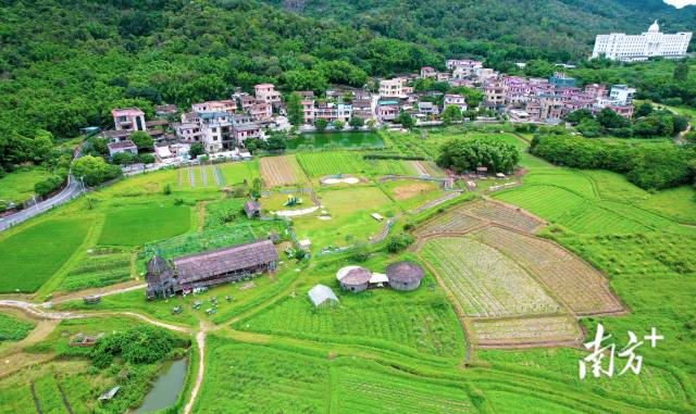 權威訪談廣東中山市委書記郭文海奮力交出改革創新實驗區建設亮麗答卷