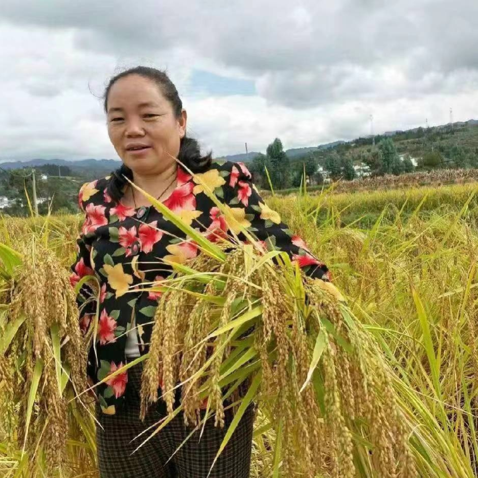 Wei Cifen from Dali, Yunnan has dedicated herself to preserving high quality seed varieties.