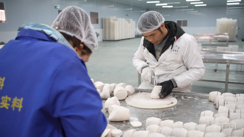 【大宏图&middot;&ldquo;县&rdquo;在启航】广西荔浦：拉长链条赋能&ldquo;金芋飘香&rdquo; 集群聚势叫响&ldquo;衣架之都&rdquo;