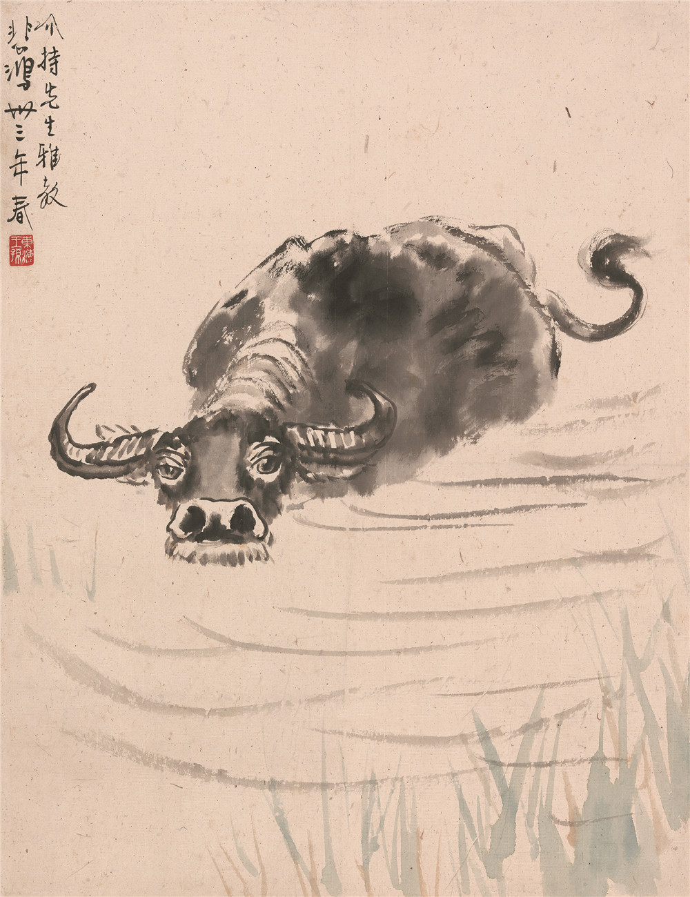 水牛图   徐悲鸿  1944年  61.5×47cm  纸本设色  贵州省博物馆藏