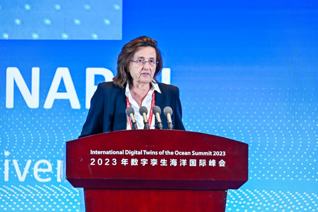 2023年数字孪生海洋国际峰会在厦门盛大启幕(图6)