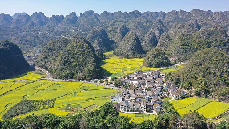 2024年2月17日，贵州省兴义市万峰林景区的油菜花海景色（无人机照片）。