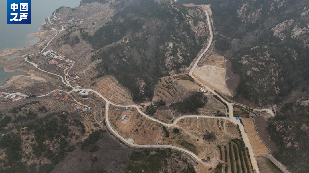 毁林挖山非法扩建青岛崂山风景区何以变墓地独家调查